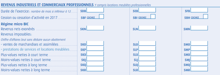 extrait formulaire 2042 c pro