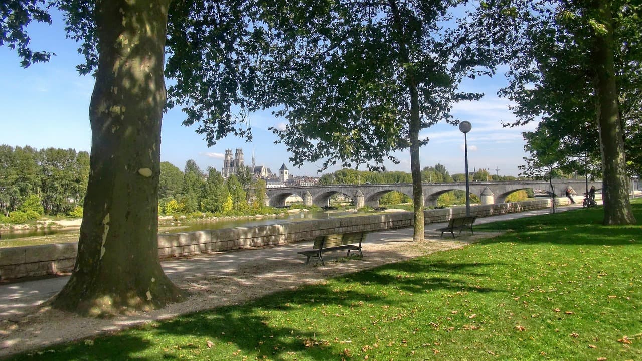 LMNP Orléans