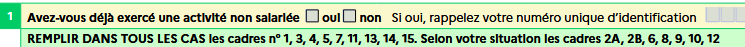 p0i case activite non salariee